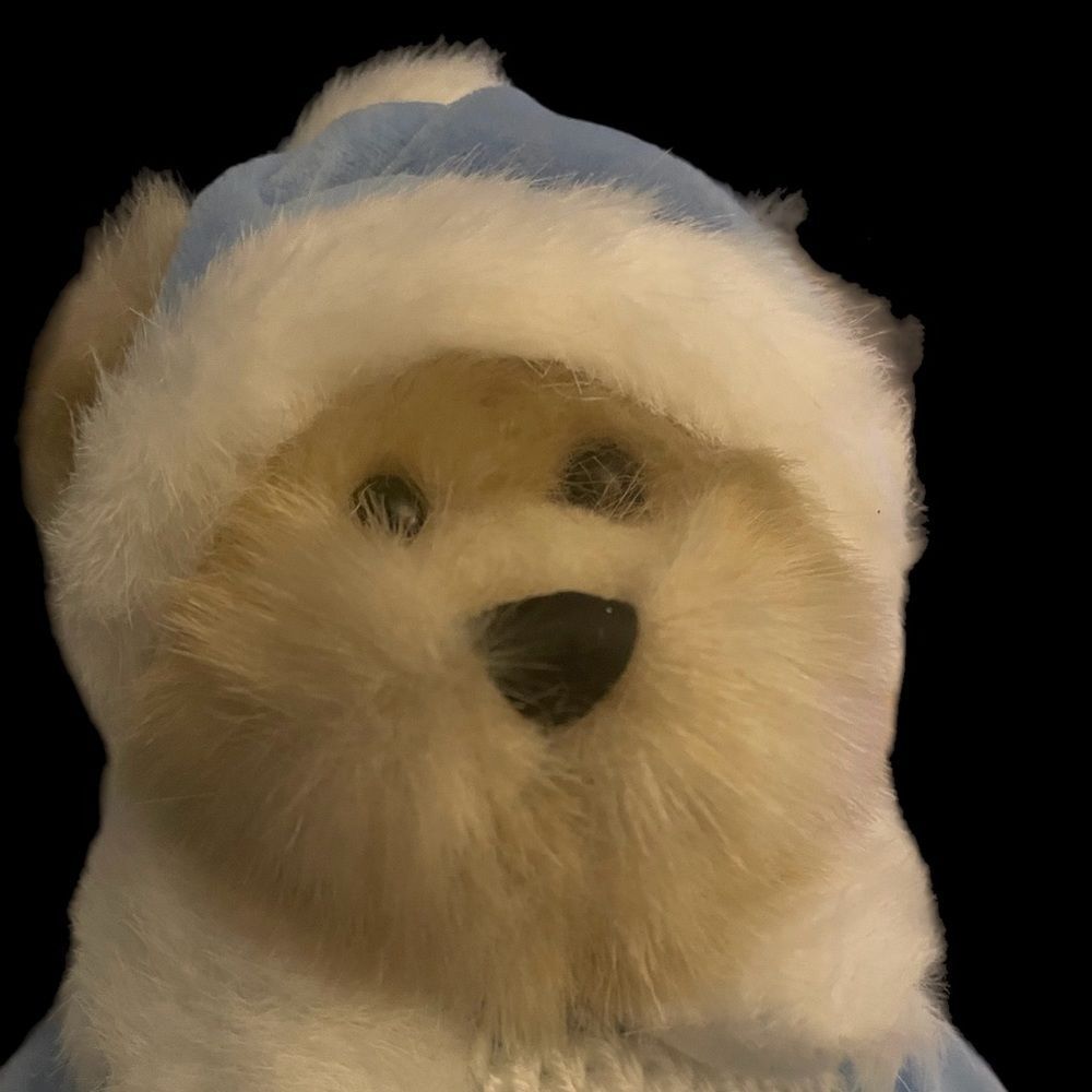 Rare Vintage Snowball Trade Secret Teddy Bear.           Winter Scene in Blue.
